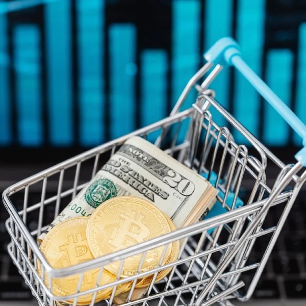 Bitcoin and dollars in a shoppingcart used for payments