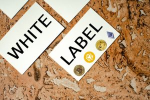White-label crypto payment gateways